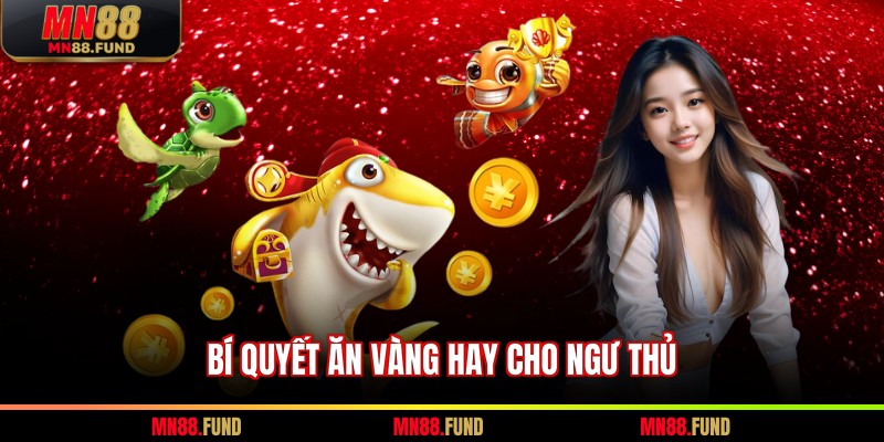 Bí quyết ăn vàng hay cho ngư thủ