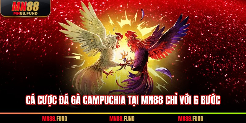 Cá cược đá gà Campuchia tại MN88 chỉ với 6 bước