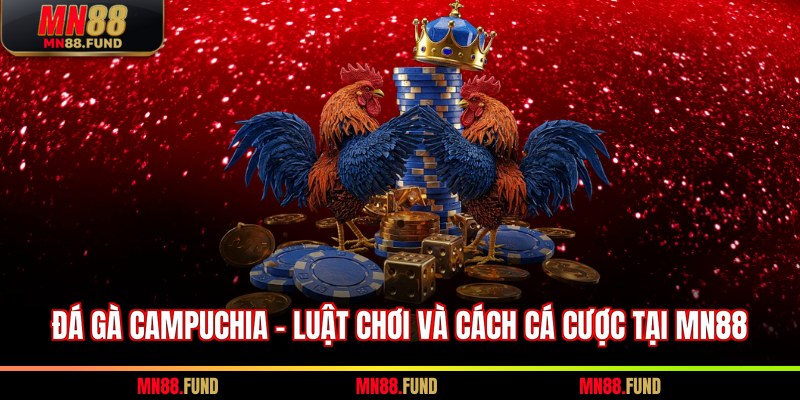 đá gà Campuchia