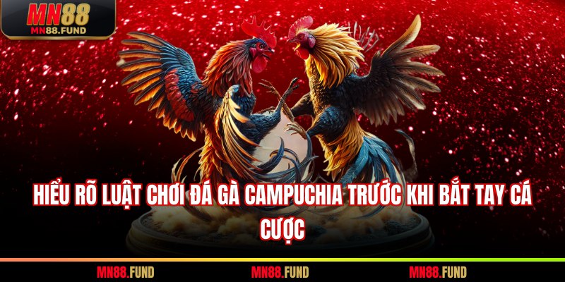 Hiểu rõ luật chơi đá gà Campuchia trước khi bắt tay cá cược