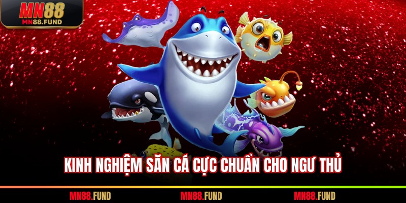 Kinh nghiệm săn cá cực chuẩn cho ngư thủ