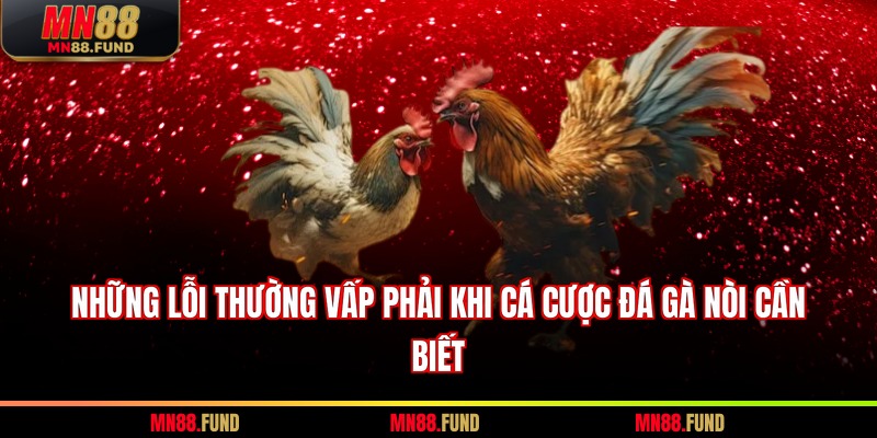 Những lỗi thường vấp phải khi cá cược Đá gà Nòi cần biết