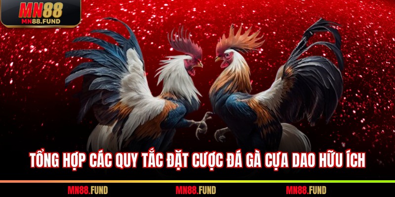 Tổng hợp các quy tắc đặt cược đá gà cựa dao hữu ích